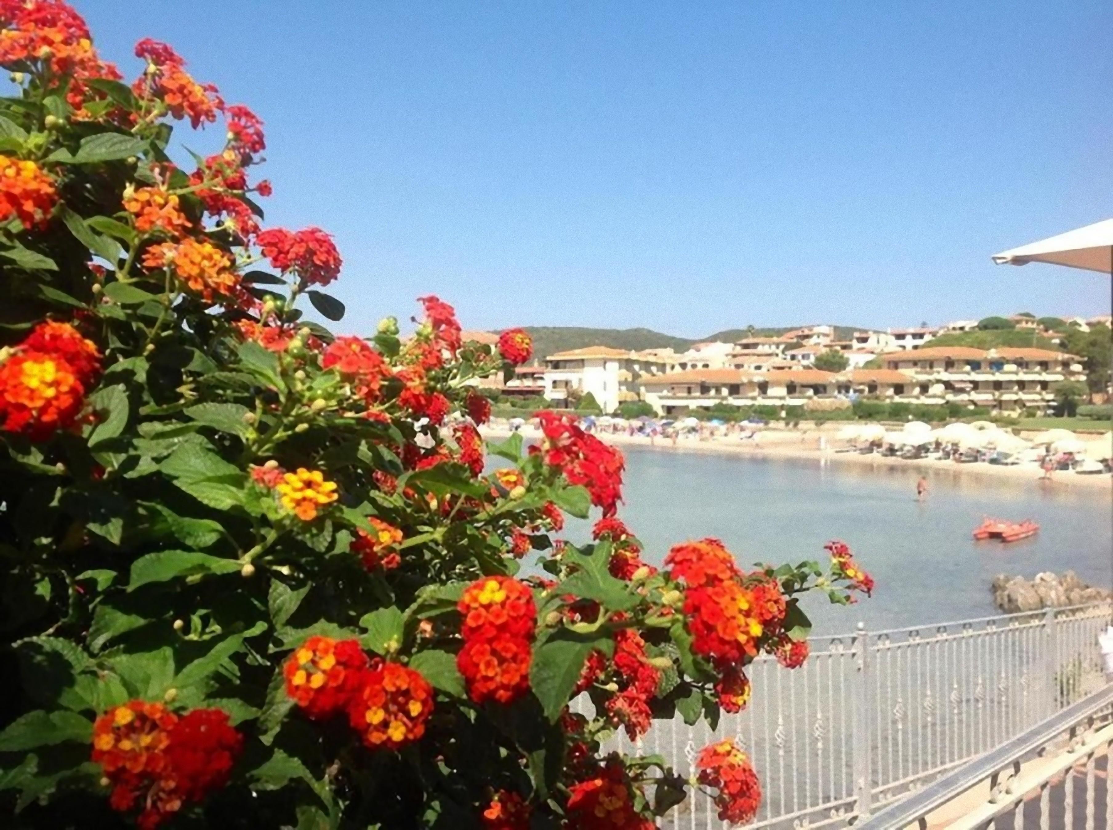 Terza Spiaggia & La Filasca - Apartments Golfo Aranci Exterior photo